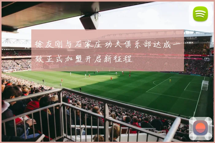 徐友刚与石家庄功夫俱乐部达成一致正式加盟开启新征程