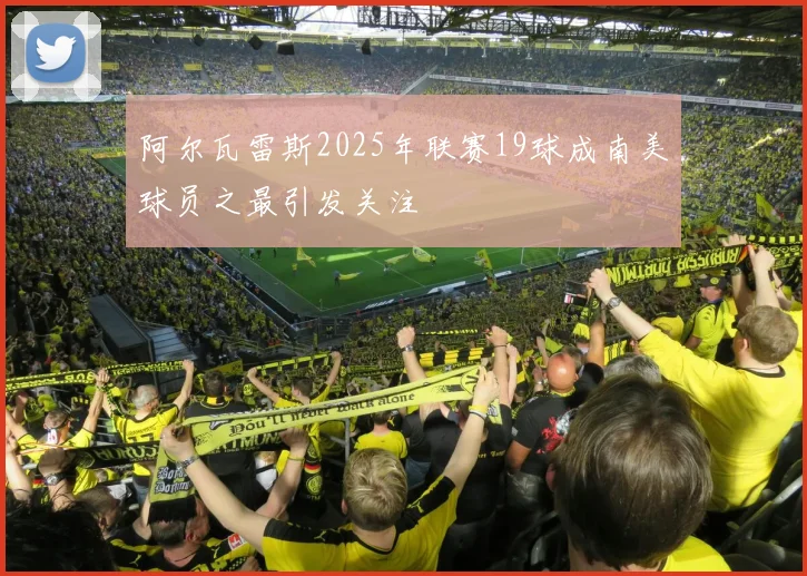 阿尔瓦雷斯2025年联赛19球成南美球员之最引发关注