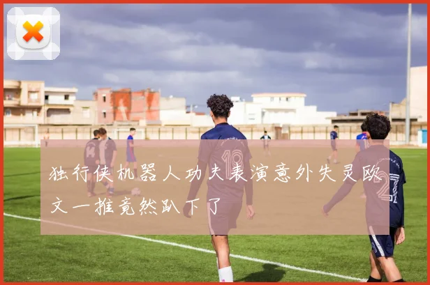独行侠机器人功夫表演意外失灵欧文一推竟然趴下了