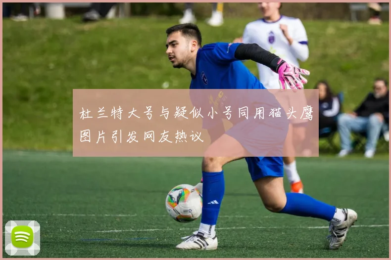 杜兰特大号与疑似小号同用猫头鹰图片引发网友热议